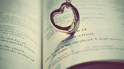 78句優(yōu)雅的愛(ài)情英語(yǔ)名言