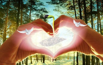 與慈善事業(yè)相關(guān)的英語名言警句