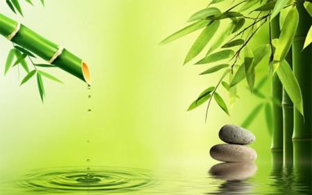 為什么竹子中間是空心的呢？