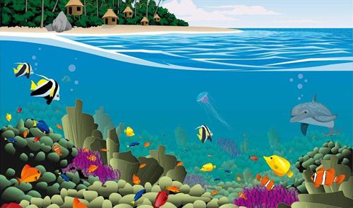 魚為什么能在水里游？