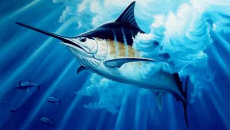 速度最快的魚是什么魚,速度是多少