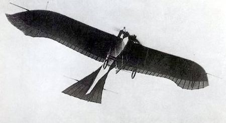 小鳥為什么會(huì)飛,鳥兒能飛的原因