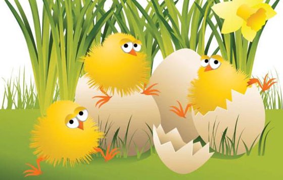 為什么小鳥(niǎo)要自己啄破蛋殼