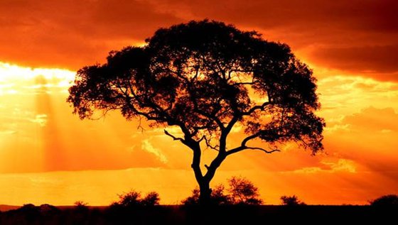 為什么早晨的太陽(yáng)是紅色的,為什么傍晚太陽(yáng)是紅色的