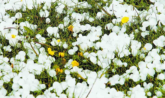 為什么夏天會下冰雹,冰雹產(chǎn)生原因及預(yù)防措施