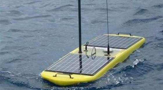 為什么水母可以預(yù)測風(fēng)暴