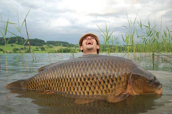 鯉魚(yú)為什么喜歡跳水,鯉魚(yú)喜歡跳的原因