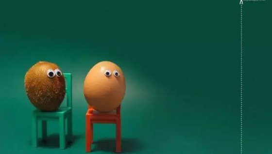 鳥認(rèn)識自己的蛋嗎,為什么有的鳥不認(rèn)識自己的蛋