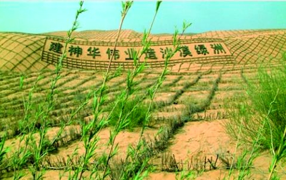 植物為什么能抗災(zāi)除害