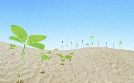 為什么沙漠中的植物根很長