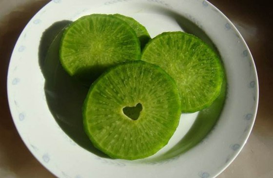 為什么春天的蘿卜會(huì)空心