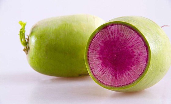 為什么春天的蘿卜會(huì)空心