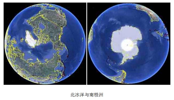 南極和北極有植物嗎？