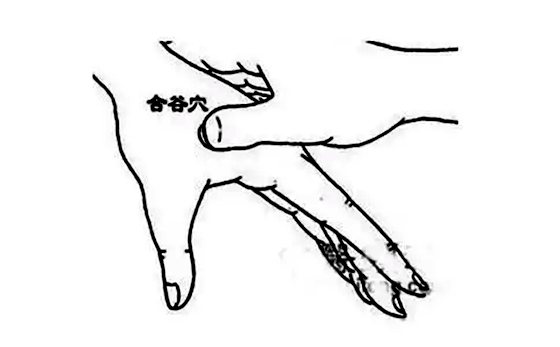 為什么有的人容易出汗,愛出汗的人是什么體質(zhì)