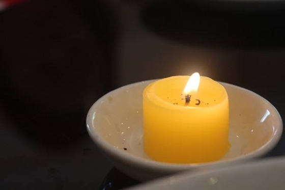 蒼蠅為什么總搓手,蒼蠅總是搓手的原因