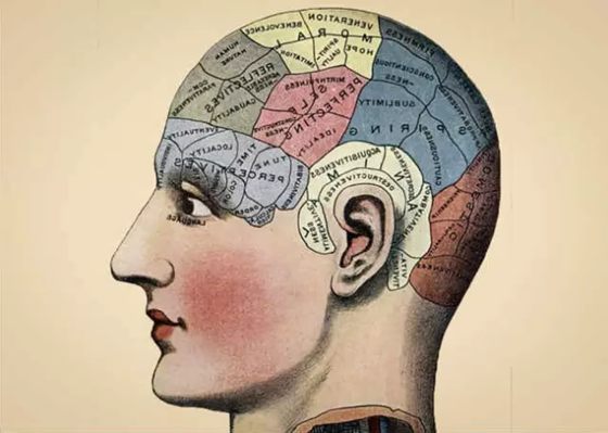 為什么人會(huì)有記憶,怎樣提高記憶力