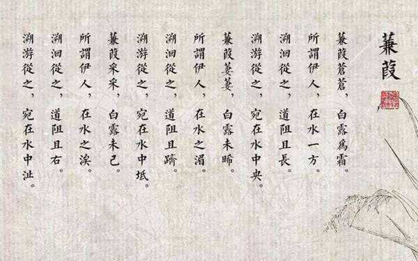 蒹葭怎么讀全文拼音,蒹葭的意思是什么,蒹葭原文翻譯及賞析