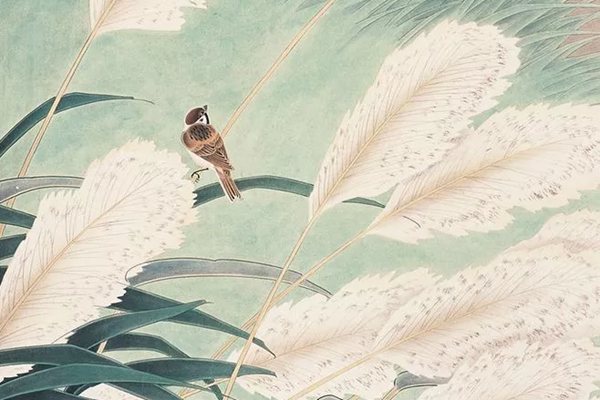 蒹葭怎么讀全文拼音,蒹葭的意思是什么,蒹葭原文翻譯及賞析