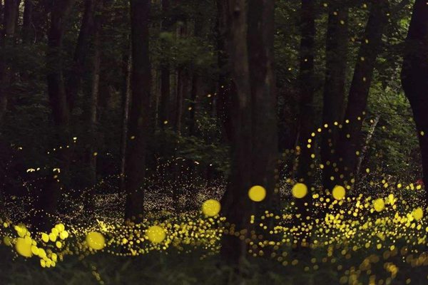 邛崍怎么讀拼音是什么,邛崍在哪里,邛崍有什么好玩的