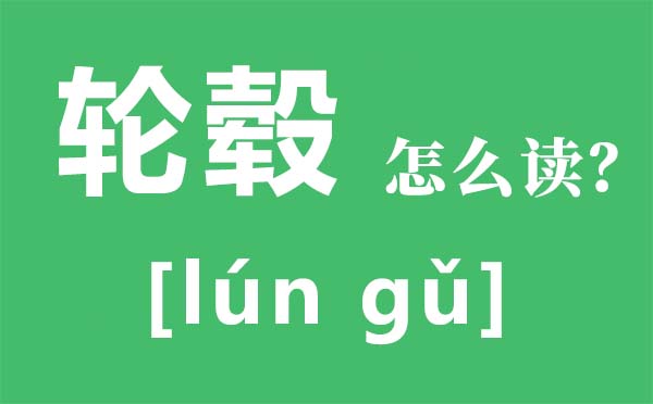 輪轂怎么讀拼音是什么,輪轂價(jià)格是多少,輪轂品牌有哪些
