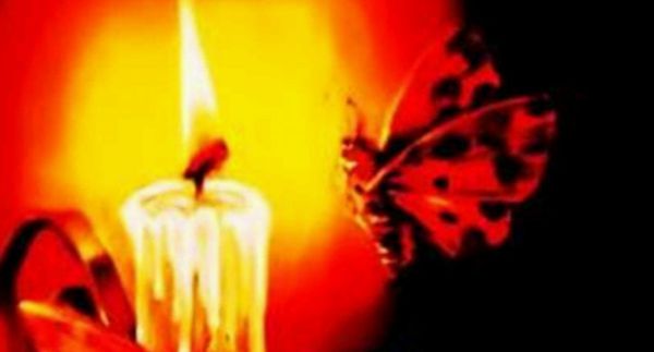 飛蛾為什么撲火,飛蛾撲火的原因是什么