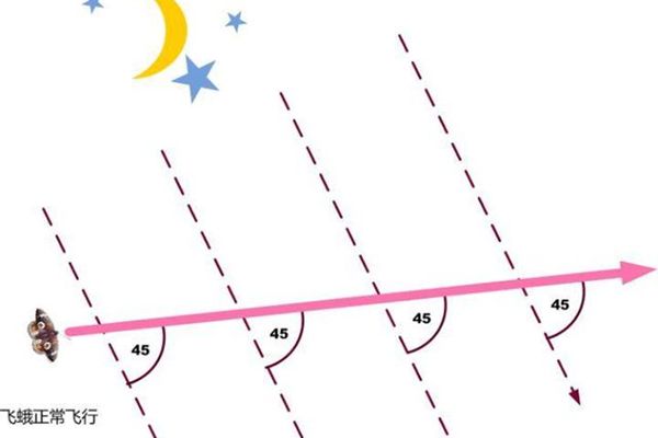 飛蛾為什么撲火,飛蛾撲火的原因是什么