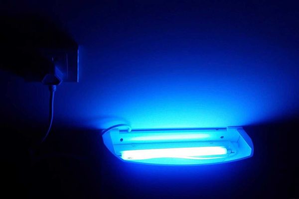 飛蛾為什么撲火,飛蛾撲火的原因是什么