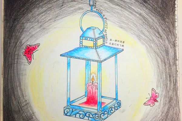 飛蛾為什么撲火,飛蛾撲火的原因是什么