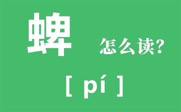蜱怎么讀_蜱蟲是什么_蜱是什么意思？