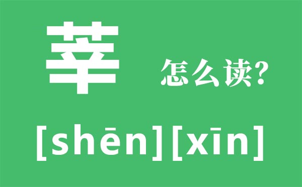莘怎么讀,莘的讀音,莘莘學(xué)子是什么意思