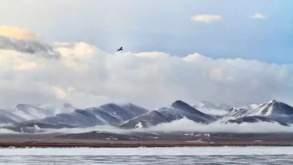 羌塘無(wú)人區(qū)