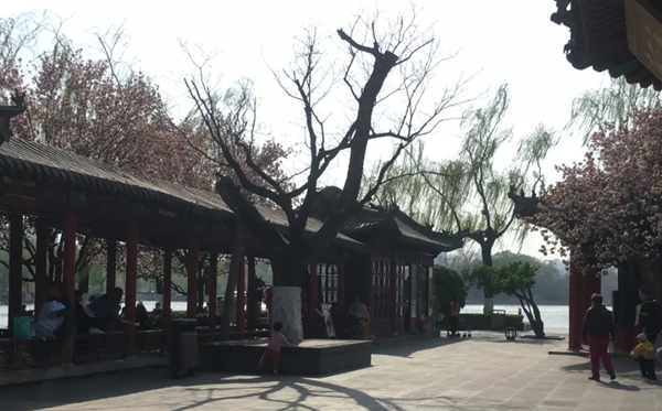 大明湖的明為什么多一橫,大明湖的眀多一橫的原因