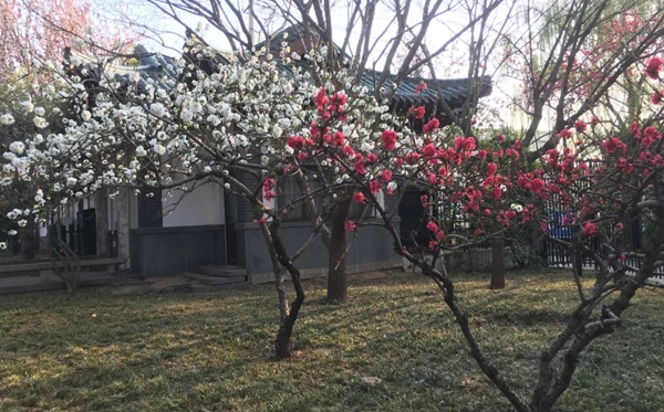 大明湖的明為什么多一橫,大明湖的眀多一橫的原因