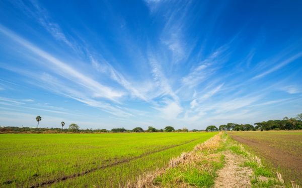 藍(lán)色的天空