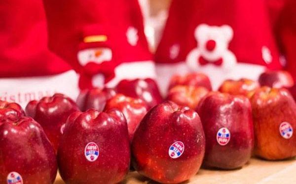圣誕節(jié)的蘋果為什么叫平安果,國(guó)外圣誕節(jié)也有平安果嗎