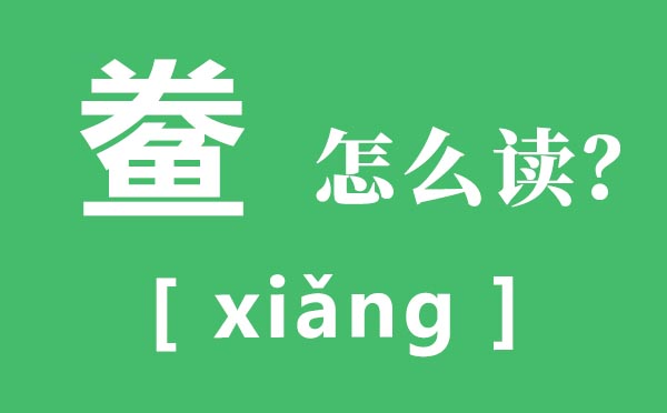 鲞怎么讀,鲞的讀音,黃魚(yú)鲞的做法大全