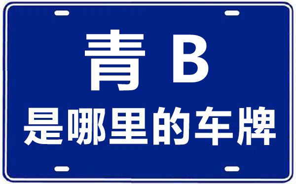 青B是哪里的車牌號,海東的車牌號是青什么