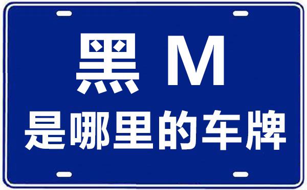 黑M是哪里的車牌號,綏化的車牌號是黑什么