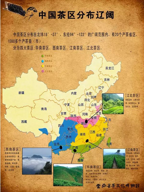 茶樹為什么生南不生北,全國茶葉產(chǎn)區(qū)分布圖一覽