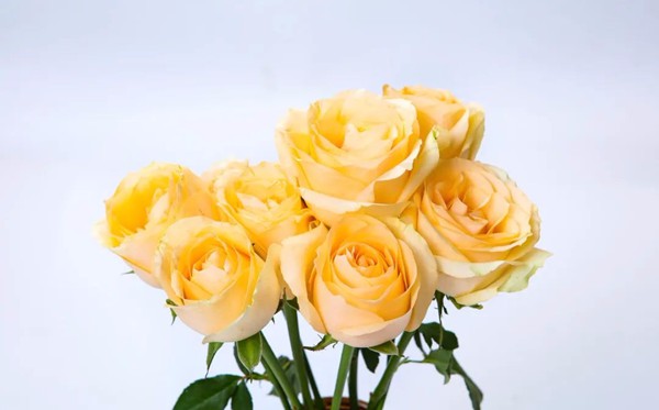 非常經(jīng)典的讓人警醒的50個(gè)勵(lì)志句子