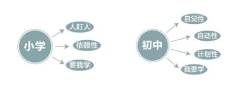 新初一暑假學習計劃表,新初一暑假應(yīng)該怎么安排