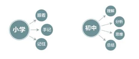 新初一暑假學習計劃表,新初一暑假應(yīng)該怎么安排