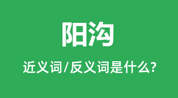 陽(yáng)溝的近義詞和反義詞是什么,陽(yáng)溝是什么意思