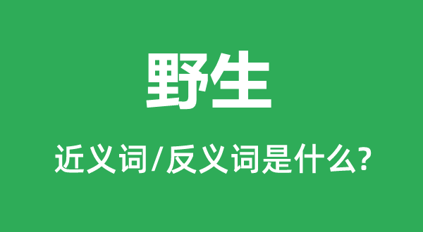 野生的近義詞和反義詞是什么,野生是什么意思