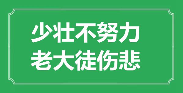 “少壯不努力，老大徒傷悲”的意思是什么,出處是哪首詩