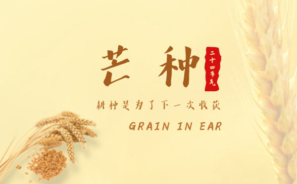 2023年芒種是幾月幾日幾點,芒種的含義是什么意思