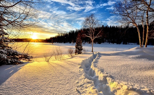 2023年三九天時(shí)間表,今年三九天的起止時(shí)間表