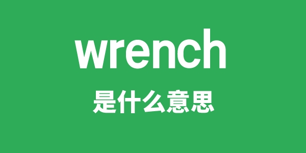 wrench是什么意思