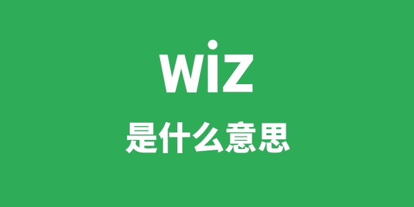 wiz是什么意思