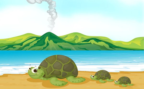 帶龜字的成語有哪些,關(guān)于龜字的四字成語